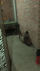 São Paulo/SP - ME AJUDEM A VOLTAR PARA O NORDESTE.