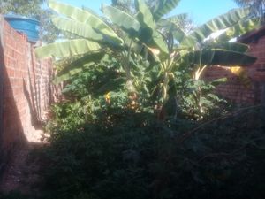 Vaquinha - Ajudem a realizar um sonho,construir minha própria casa