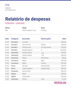 Campanha para ajudar com o tratamento do bolt imagem 6