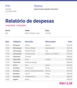 Rio de Janeiro/RJ - Campanha para ajudar com o tratamento do bolt