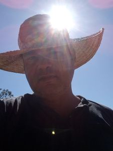 Projeto Reflorestamento urgente para diminuir a temperatura. imagem 7