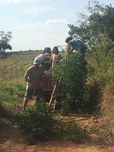 Quer apoiar a biocontrução dessa casinha com as crianças da sementeira? imagem 8