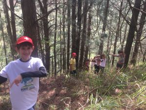 Quer apoiar a biocontrução dessa casinha com as crianças da sementeira? imagem 10