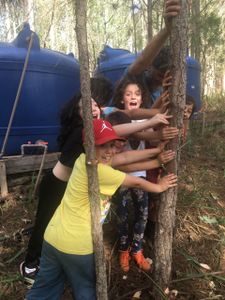 Quer apoiar a biocontrução dessa casinha com as crianças da sementeira? imagem 7