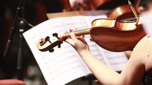 São Paulo/SP - Ofesp: PARTICIPE de concertos inesquecíveis em São Paulo!