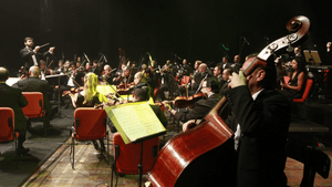 Música - Ofesp: PARTICIPE de concertos inesquecíveis em São Paulo!
