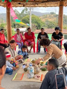 Ativismo - PONTO VERDE- ATIVISMO E EDUCAÇÃO CLIMÁTICA 