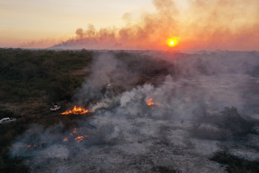 Vaquinha Online - Pantanal 2021: o inferno voltou!