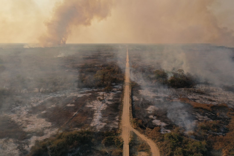 Pantanal 2021: o inferno voltou!