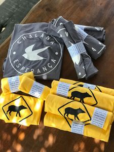 Pantanal 2021: o inferno voltou!