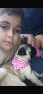 Animais - 💔 Ajude a Bulma a voltar para casa 🐾❤️