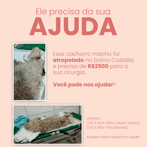 Ele foi atropelado e precisa de você