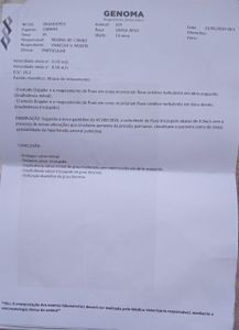 São Paulo/SP - Tudo pelo Joy 