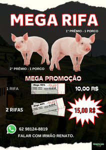 Financiamento Coletivo - FINANCIAMENTO PARA A GREENLINE DESIGN