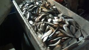 Caridade e Filantropia - Ajude-nos a alimentar  as famílias necessitadas.