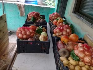 Ajude-nos a alimentar  as famílias necessitadas. imagem 9