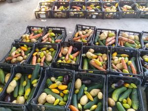 Nova Iguaçu/RJ - Ajude-nos a alimentar  as famílias necessitadas.