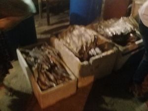 Ajude-nos a alimentar  as famílias necessitadas. imagem 10