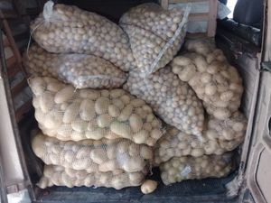 Ajude-nos a alimentar  as famílias necessitadas. imagem 6