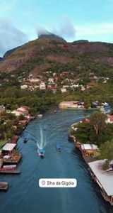 Crowdfunding - Projeto Gigoia: Multiplicando o Futuro do Refúgio Ecológico do Rio