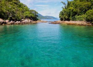 Meio ambiente - Projeto Gigoia: Multiplicando o Futuro do Refúgio Ecológico do Rio