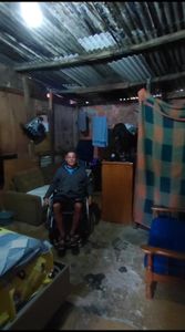 Um lar para o João Gonçalves  imagem 6