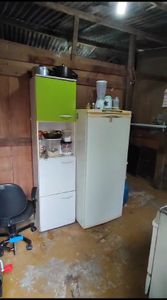 São Paulo/SP - Um lar para o João Gonçalves 