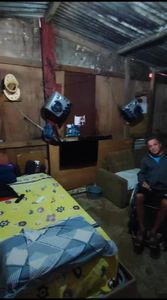 Um lar para o João Gonçalves  imagem 7