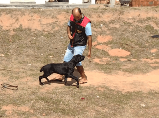 Jorge Antonio Silveira - 1° Centro de treinamento de cães