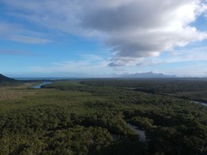 Aquisição de câmeras para levantamento e monirotamento de fauna e inibição de caça ilegal. - Ajude a encontrar onças na Juréia-Itatins