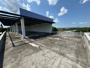 Ajudar a manter e crescer imagem 10