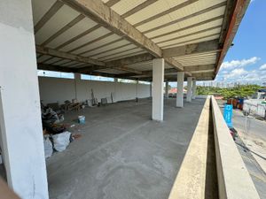 Ajudar a manter e crescer imagem 9