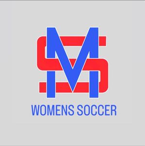 Ajude a Sofia a jogar e estudar fora do país! imagem 8