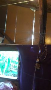 Vaquinha Online - Ajuda pra comprar meus medicamentos, fazer uma casa, e pagar tratamento dos dentes 