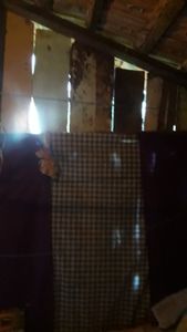 Saúde e Emergências - Ajuda pra comprar meus medicamentos, fazer uma casa, e pagar tratamento dos dentes 