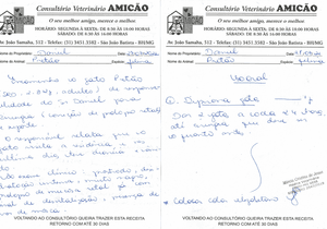 Financiamento Coletivo - Ajude a salvar a vida de um gato de rua 