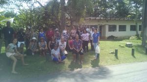 ONGs - Apoie a Cuidaris – Cuidar é Incluir. Vamos manter esse movimento vivo!