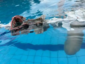 AJUDE A NATAÇÃO UFSCAR!!  - 🌟 Ajude a Natação UFSCar a comprar raias novas! 🏊‍♀️  