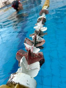 Vaquinha Online - 🌟 Ajude a Natação UFSCar a comprar raias novas! 🏊‍♀️  