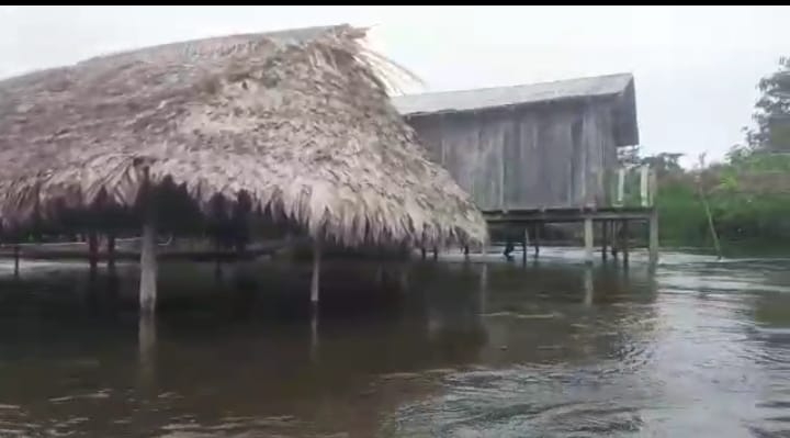Enchente e contaminação do Rio Mapuera, Povo Waiwai imagem 7