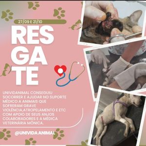 Ajude-nos a ajudar os abrigos de animais. imagem 6