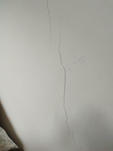 Recuperação da casa da Dona Amélia imagem 10