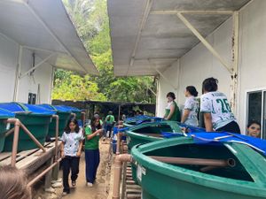 Desenvolvimento de Unidade Sustentável de Produção de Peixes. imagem 6