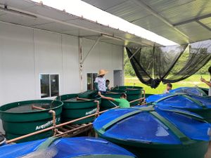 Desenvolvimento de Unidade Sustentável de Produção de Peixes. imagem 7