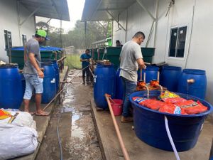 Financiamento Coletivo - Desenvolvimento de Unidade Sustentável de Produção de Peixes.
