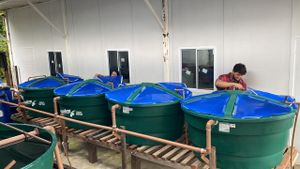 Desenvolvimento de Unidade Sustentável de Produção de Peixes.