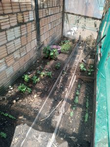 Financiamento Coletivo - ACREDITE NESSE SONHO