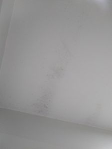 Reformar minha casa imagem 6