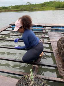 Pesquisa - Obtenção de um multiparâmetro para melhorar os estudos no Rio Tibiri 