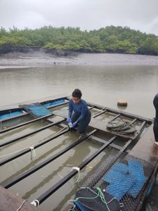 Vaquinha Online - Obtenção de um multiparâmetro para melhorar os estudos no Rio Tibiri 